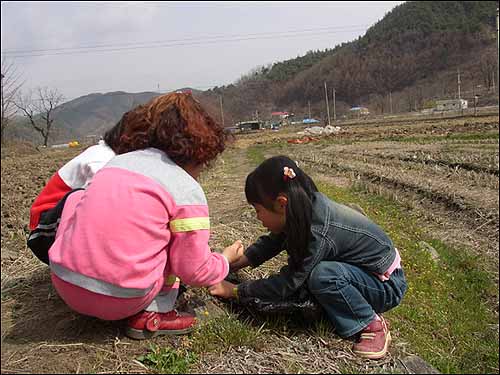 캐서 쑥떡해야지. 